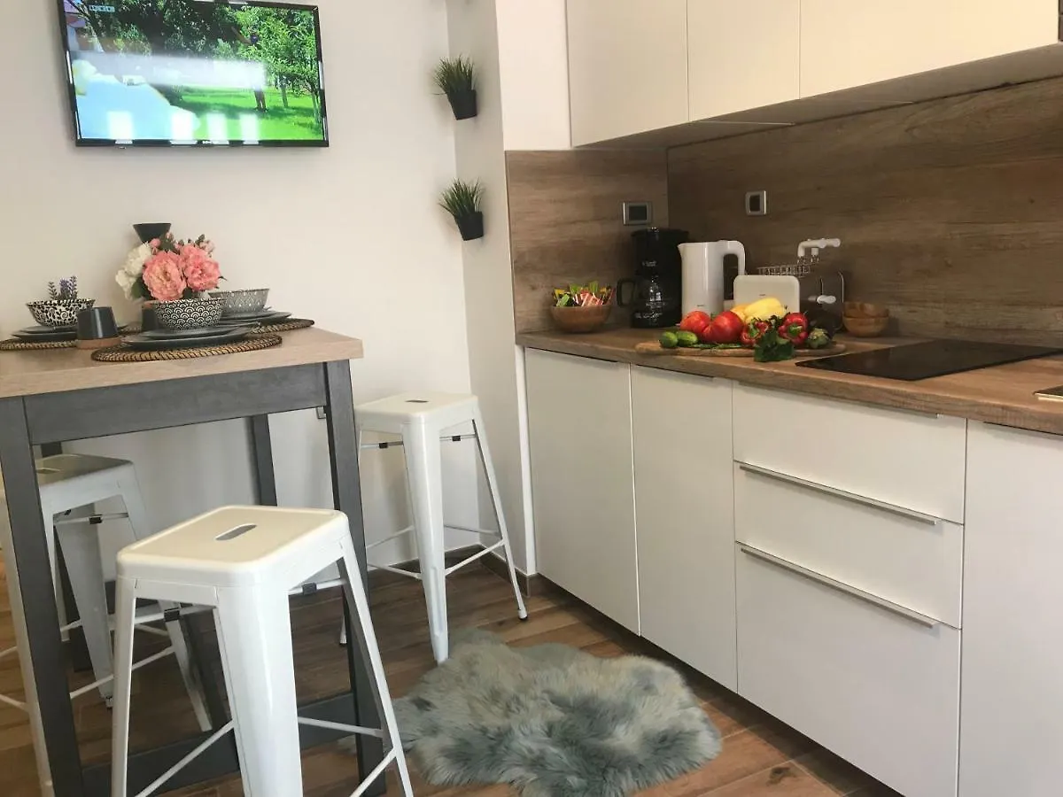 Arena Design Apartments With Free Private Parking And With A Terrace Pula 0*,