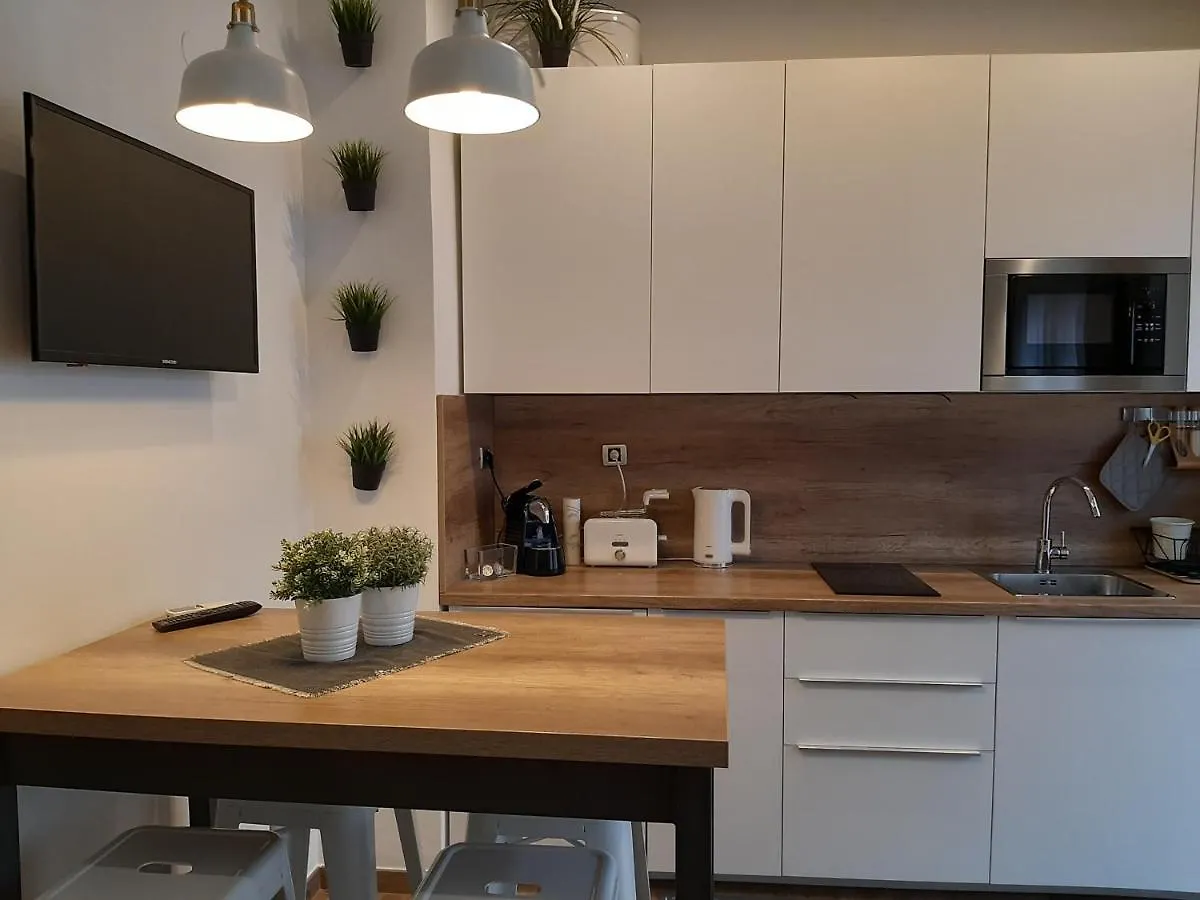 Arena Design Apartments With Free Private Parking And With A Terrace Pula
